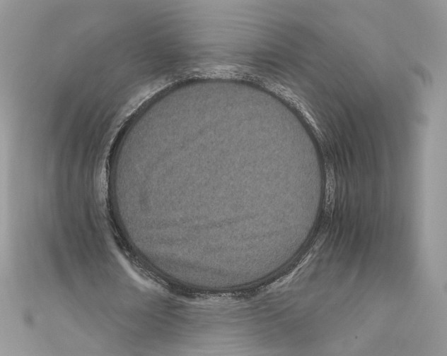 X0000110670674200907241023