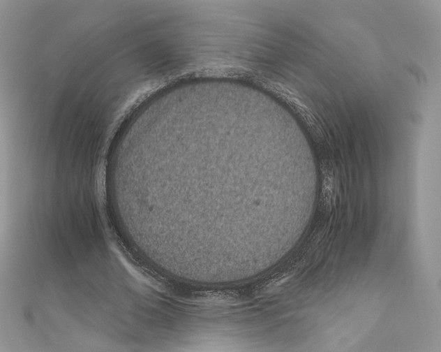 X0000110670678200907241023