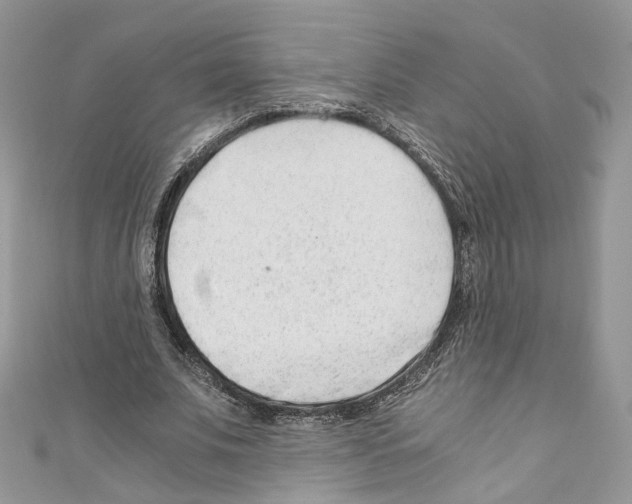 X0000110670679200907241023