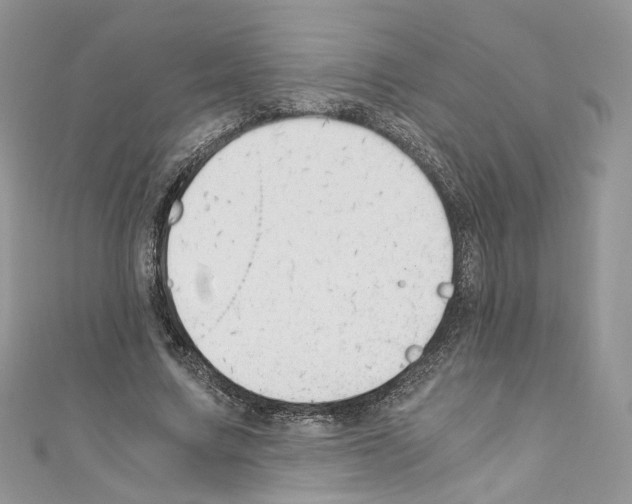 X0000110670683200907241023