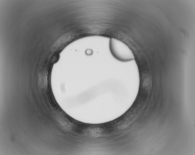 X0000110670685200907241023