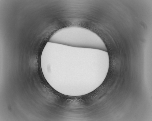 X0000110670688200907241023