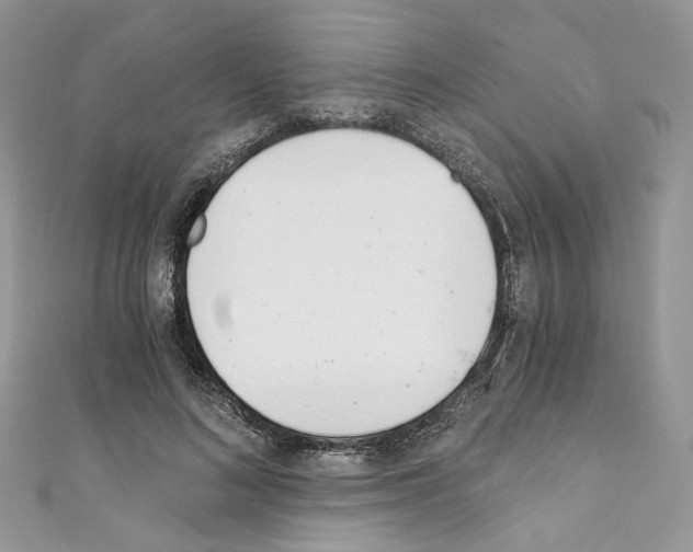 X0000110670692200907241022