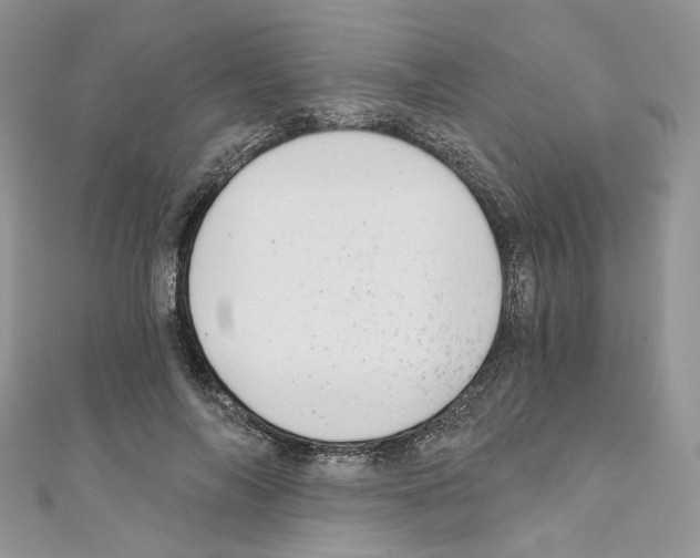 X0000110670694200907241022