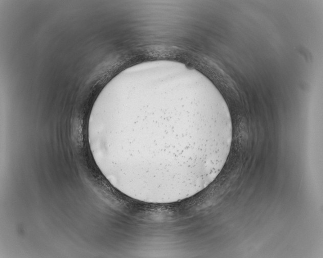 X0000110670696200907241022