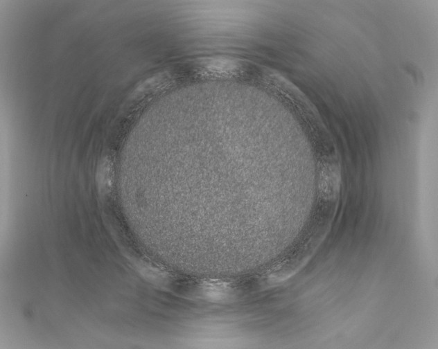 X0000110670701200907241022