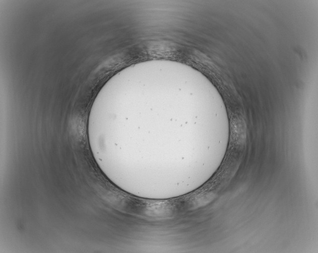 X0000110670705200907241022
