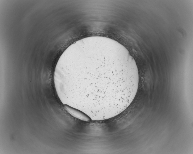 X0000110670708200907241022