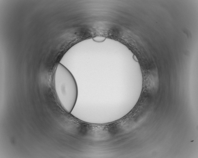X0000110670709200907241022