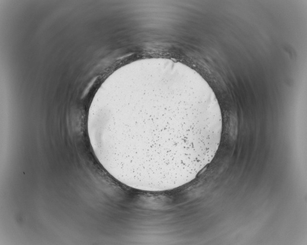 X0000110670712200907241022