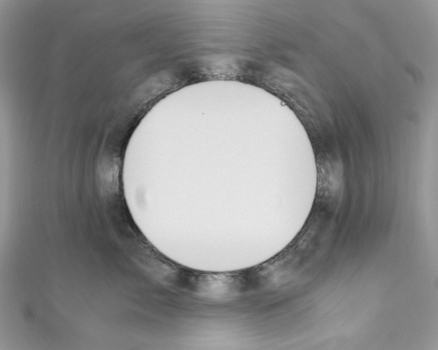 X0000110670717200907241022