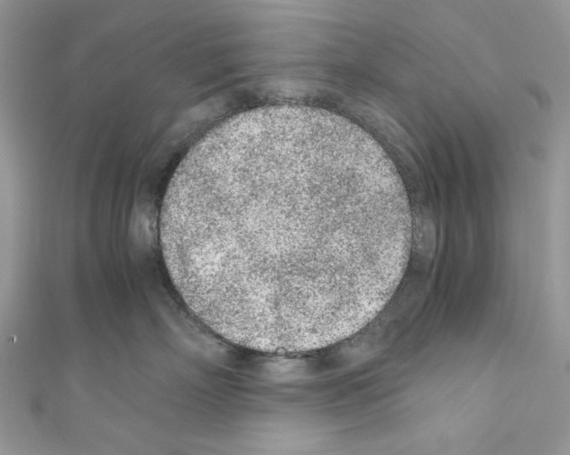 X0000110670718200907241022
