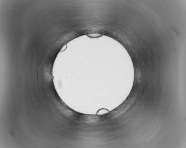X0000110670719200907241022