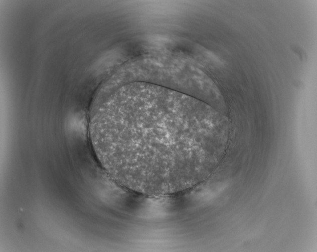 X0000110670720200907241022