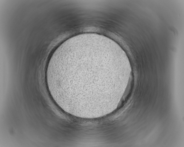 X0000110670721200907241022