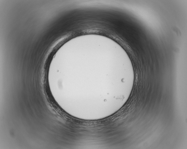 X0000110670724200907241022