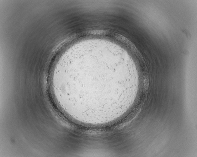 X0000110670725200907241022