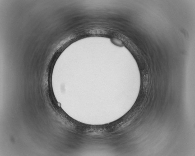 X0000110670727200907241022