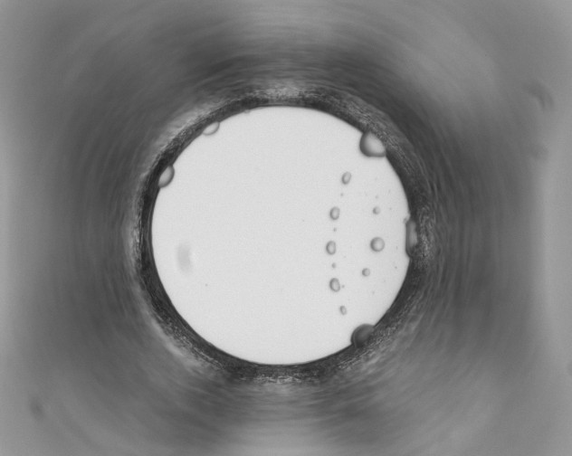 X0000110670728200907241022