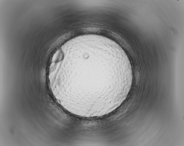 X0000110670729200907241022