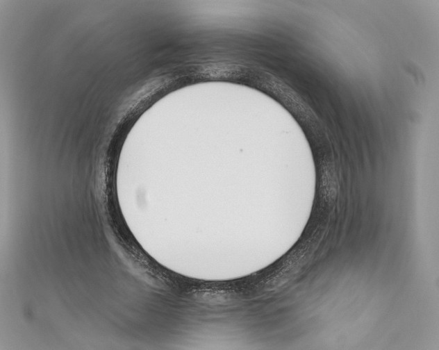 X0000110670730200907241022