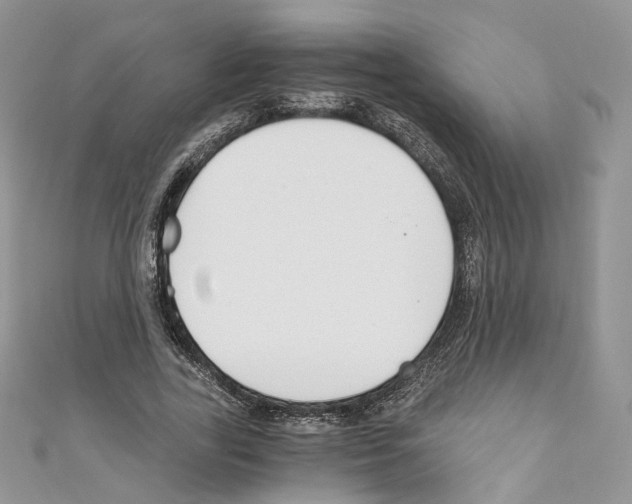 X0000110670731200907241022