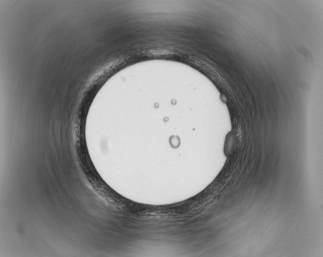 X0000110670732200907241022