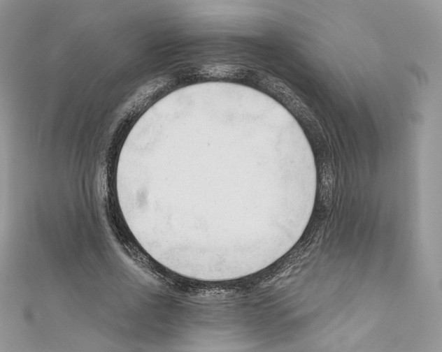 X0000110670734200907241022