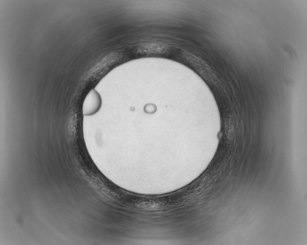 X0000110670735200907241022