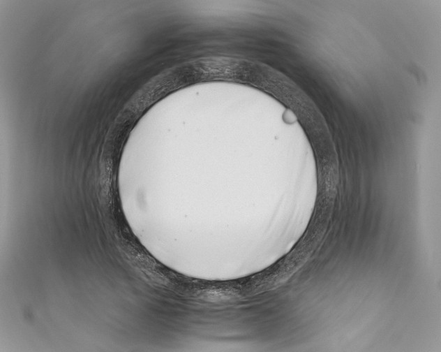 X0000110670737200907241022