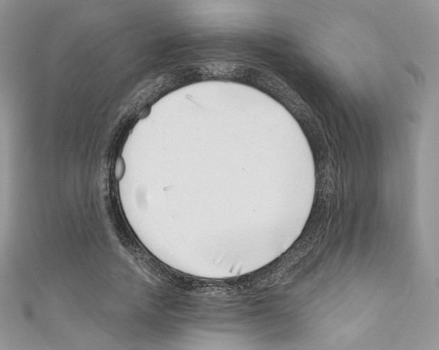 X0000110670738200907241022
