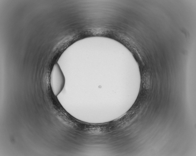 X0000110670740200907241022