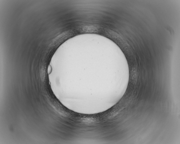 X0000110670741200907241022