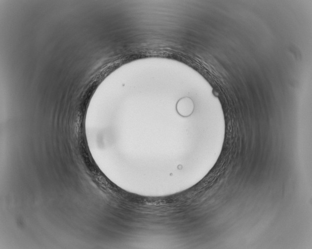 X0000110670744200907241022