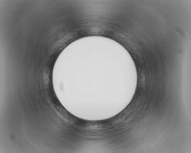 X0000110670746200907241022