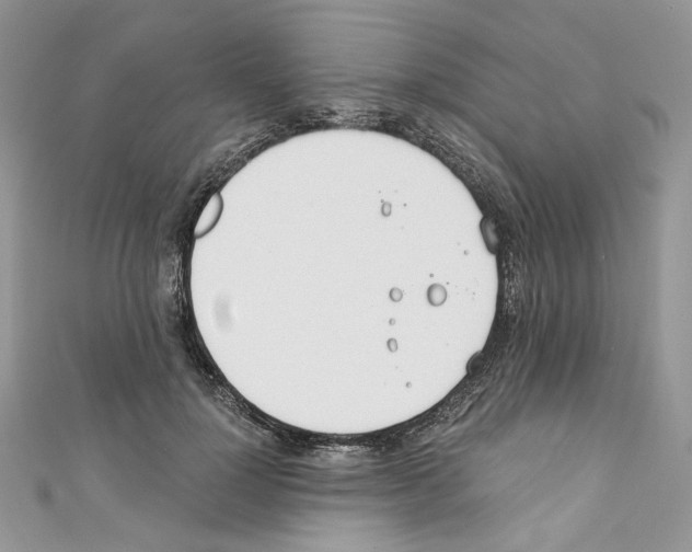 X0000110670748200907241022