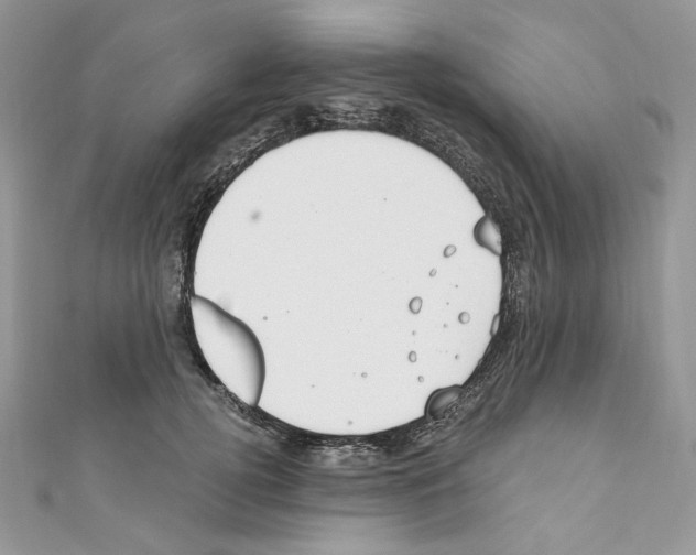 X0000110670752200907241022
