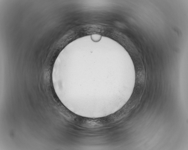 X0000110670753200907241022