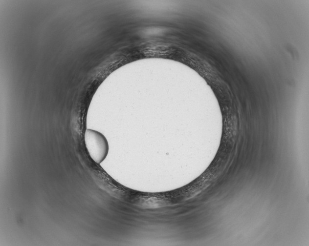X0000110670755200907241022