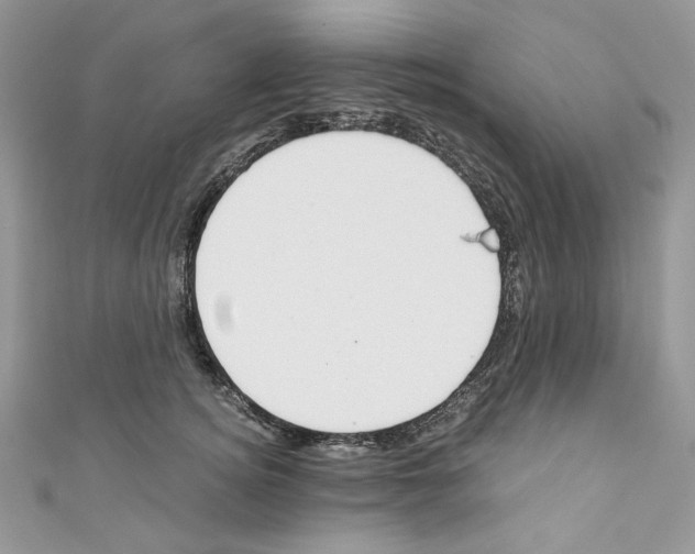 X0000110670756200907241022