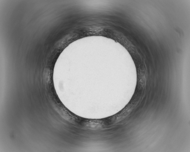 X0000110670758200907241022