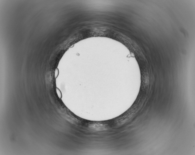 X0000110670759200907241022