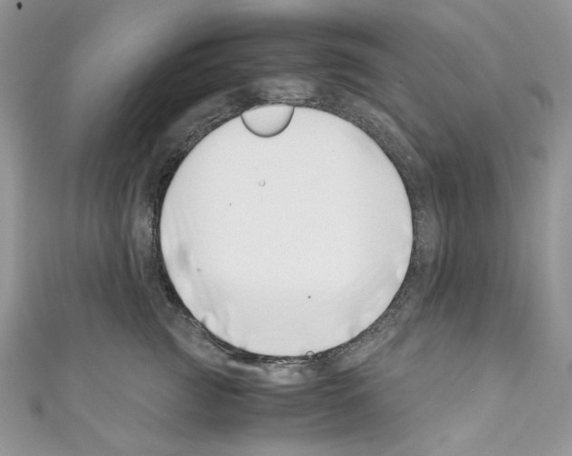 X0000110670761200907241022
