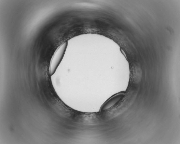 X0000110670762200907241022