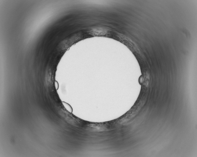 X0000110670763200907241022