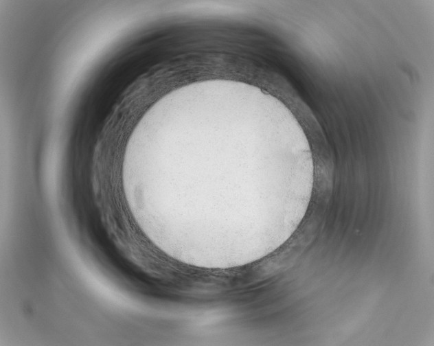 X0000110670765200907241022