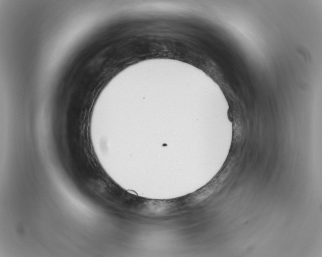 X0000110670766200907241022