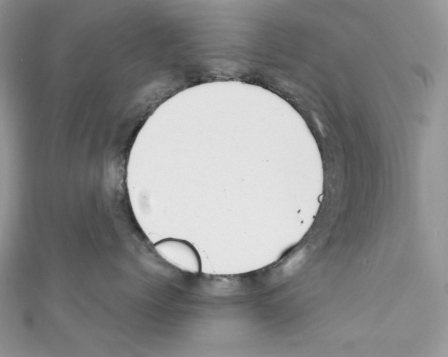 X0000110670768200907241022