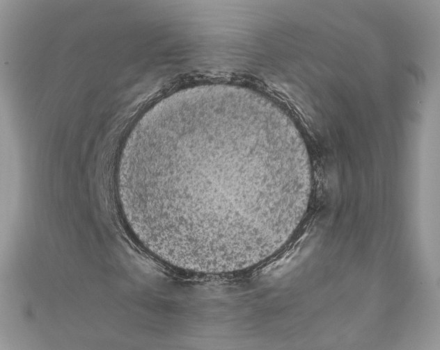 X0000110670769200907241021