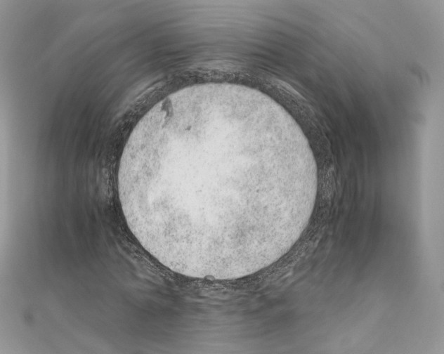 X0000110670774200907241021